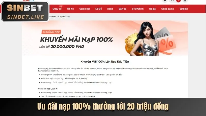 Quy định tài khoản người dùng Sbotop Link Mới
